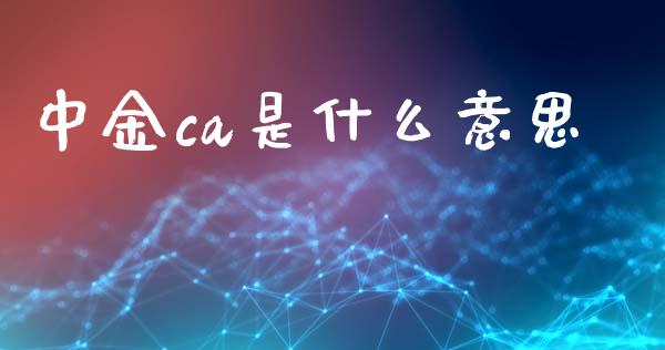中金ca是什么意思_https://wap.hpmsj.cn_期货交易_第1张
