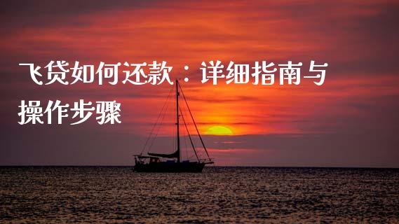 飞贷如何还款：详细指南与操作步骤_https://wap.hpmsj.cn_期货交易_第1张