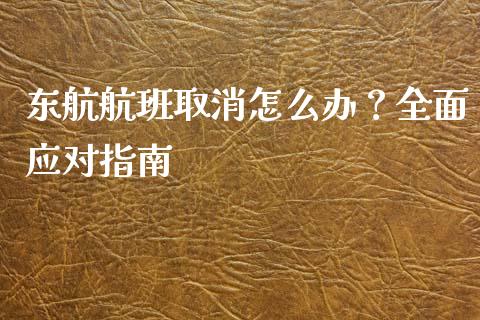 东航航班取消怎么办?全面应对指南_债券投资_第1张_财经时评_基金分析_期货交易_金融机构_外汇汇率_债券投资 东航航班取消怎么办?全面应对指南_https://wap.hpmsj.cn_债券投资_第1张