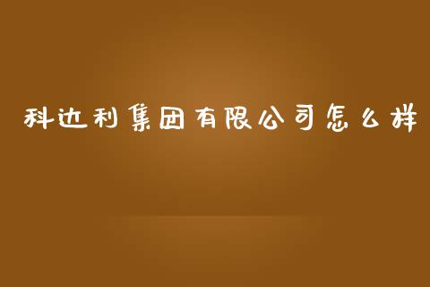 科达利集团有限公司怎么样_https://wap.hpmsj.cn_金融机构_第1张