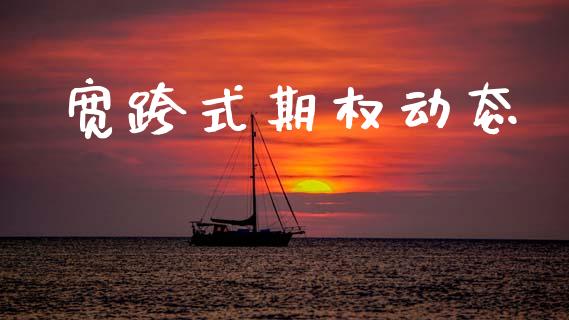 宽跨式期权动态_https://wap.hpmsj.cn_财经时评_第1张