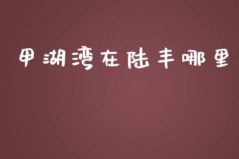 甲湖湾在陆丰哪里_https://wap.hpmsj.cn_外汇汇率_第1张