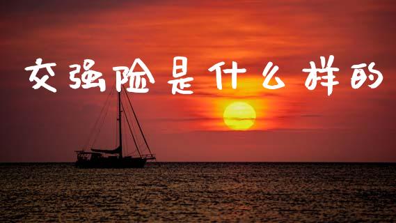 交强险是什么样的_https://wap.hpmsj.cn_债券投资_第1张