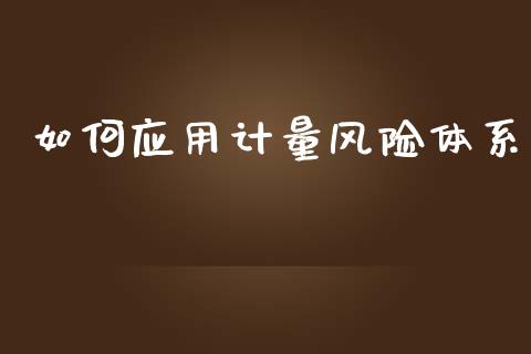如何应用计量风险体系_https://wap.hpmsj.cn_外汇汇率_第1张