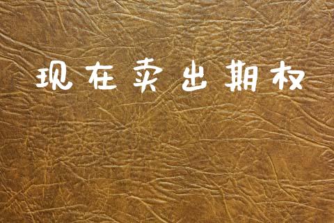 现在卖出期权_https://wap.hpmsj.cn_期货交易_第1张