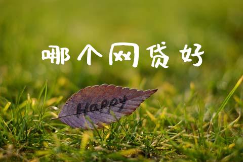 哪个网贷好_https://wap.hpmsj.cn_金融机构_第1张