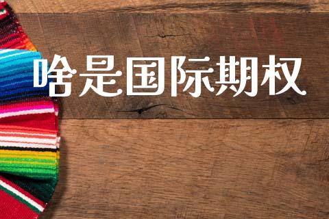 啥是国际期权_金融机构_第1张_财经时评_基金分析_期货交易_金融机构_外汇汇率_债券投资 啥是国际期权_https://wap.hpmsj.cn_金融机构_第1张
