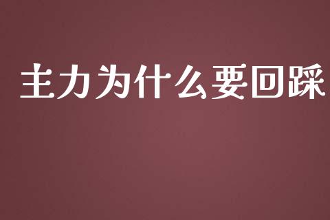 主力为什么要回踩_https://wap.hpmsj.cn_金融机构_第1张
