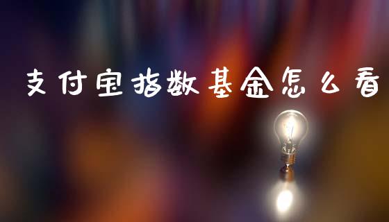 支付宝指数基金怎么看_https://wap.hpmsj.cn_外汇汇率_第1张