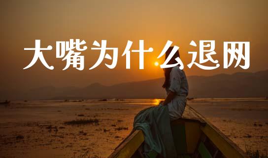 大嘴为什么退网_https://wap.hpmsj.cn_基金分析_第1张