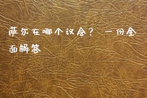 萨尔在哪个议会？ 一份全面解答_https://wap.hpmsj.cn_期货交易_第1张