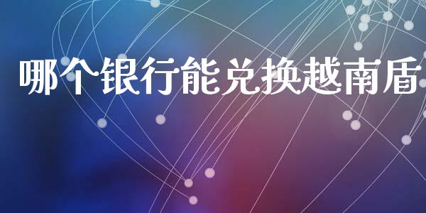 哪个银行能兑换越南盾_https://wap.hpmsj.cn_期货交易_第1张
