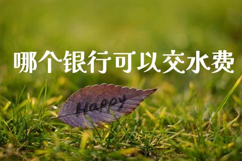 哪个银行可以交水费_https://wap.hpmsj.cn_金融机构_第1张