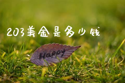 203美金是多少钱_https://wap.hpmsj.cn_债券投资_第1张