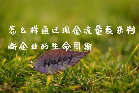 怎么样通过现金流量表来判断企业的生命周期_https://wap.hpmsj.cn_外汇汇率_第1张
