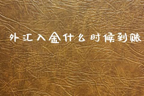 外汇入金什么时候到账_https://wap.hpmsj.cn_金融机构_第1张