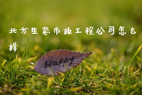 北方生态市政工程公司怎么样_https://wap.hpmsj.cn_财经时评_第1张