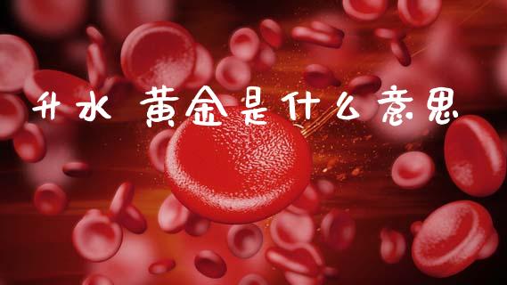 升水 黄金是什么意思_https://wap.hpmsj.cn_金融机构_第1张