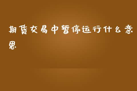 期货交易中暂停运行什么意思_https://wap.hpmsj.cn_外汇汇率_第1张
