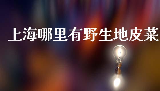 上海哪里有野生地皮菜_https://wap.hpmsj.cn_债券投资_第1张