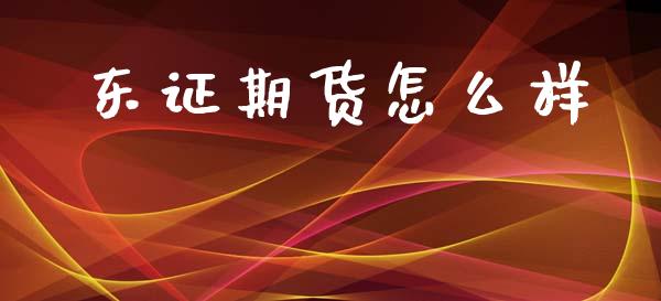 东证期货怎么样_https://wap.hpmsj.cn_外汇汇率_第1张