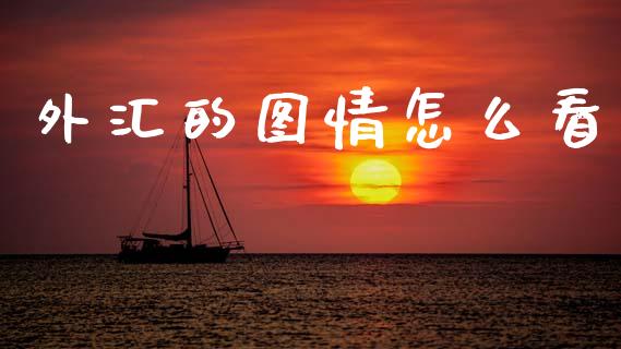 外汇的图情怎么看_https://wap.hpmsj.cn_期货交易_第1张