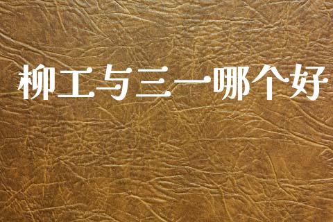 柳工与三一哪个好_https://wap.hpmsj.cn_债券投资_第1张