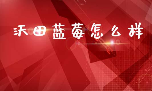 沃田蓝莓怎么样_https://wap.hpmsj.cn_债券投资_第1张