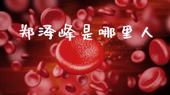 郑泽峰是哪里人_https://wap.hpmsj.cn_财经时评_第1张