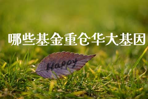 哪些基金重仓华大基因_https://wap.hpmsj.cn_基金分析_第1张