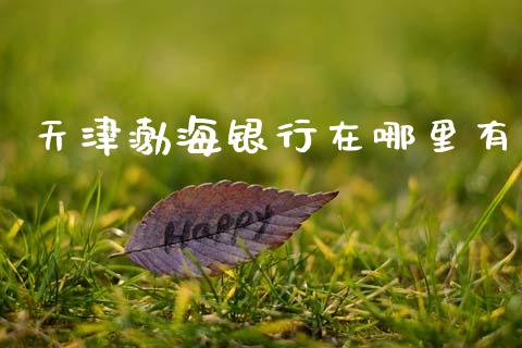 天津渤海银行在哪里有_https://wap.hpmsj.cn_期货交易_第1张