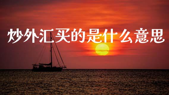炒外汇买的是什么意思_https://wap.hpmsj.cn_金融机构_第1张