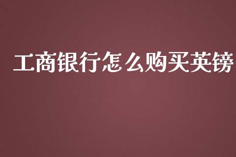 工商银行怎么购买英镑_https://wap.hpmsj.cn_外汇汇率_第1张