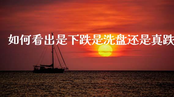 如何看出是下跌是洗盘还是真跌_https://wap.hpmsj.cn_基金分析_第1张