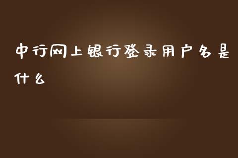 中行网上银行登录用户名是什么_https://wap.hpmsj.cn_债券投资_第1张