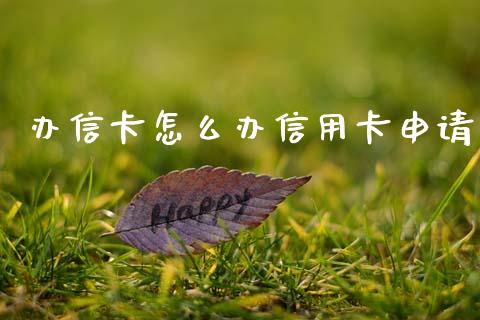 办信卡怎么办信用卡申请_https://wap.hpmsj.cn_基金分析_第1张