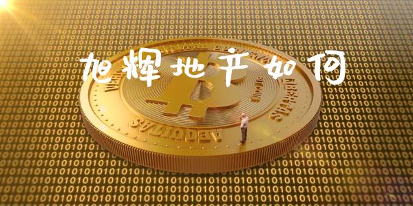 旭辉地产如何_https://wap.hpmsj.cn_债券投资_第1张