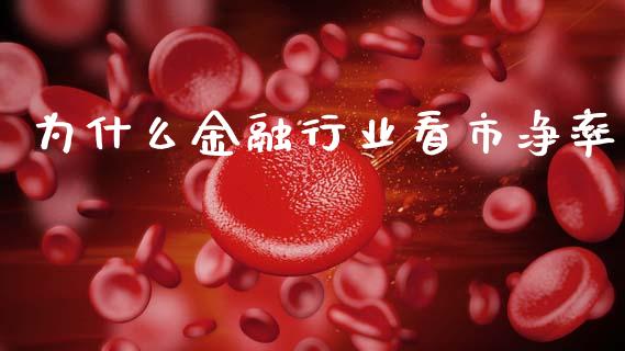 为什么金融行业看市净率_https://wap.hpmsj.cn_债券投资_第1张