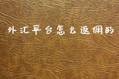 外汇平台怎么返佣的_https://wap.hpmsj.cn_财经时评_第1张
