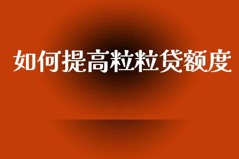 如何提高粒粒贷额度_https://wap.hpmsj.cn_金融机构_第1张