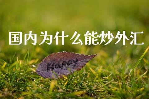 国内为什么能炒外汇_https://wap.hpmsj.cn_财经时评_第1张