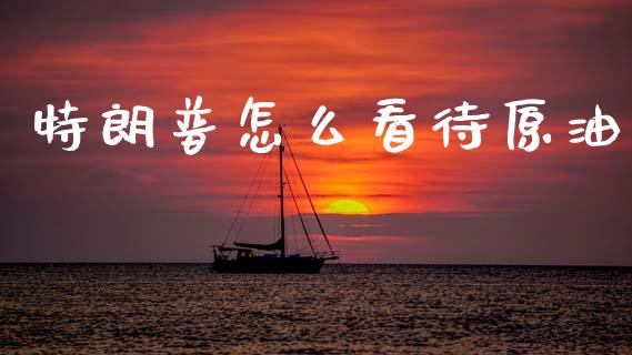 特朗普怎么看待原油_https://wap.hpmsj.cn_外汇汇率_第1张