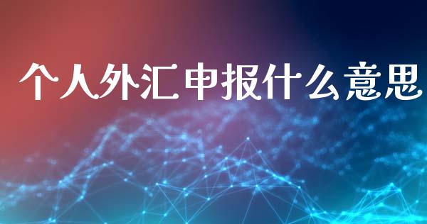个人外汇申报什么意思_https://wap.hpmsj.cn_外汇汇率_第1张