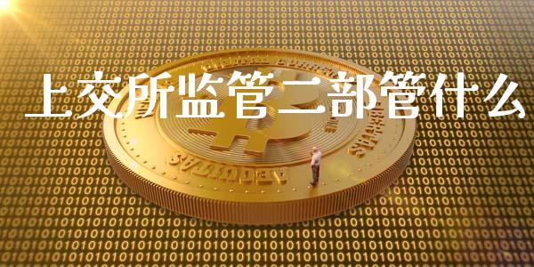 上交所监管二部管什么_https://wap.hpmsj.cn_外汇汇率_第1张