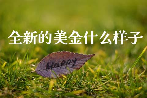 全新的美金什么样子_https://wap.hpmsj.cn_期货交易_第1张