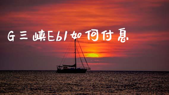 G三峡Eb1如何付息_https://wap.hpmsj.cn_基金分析_第1张