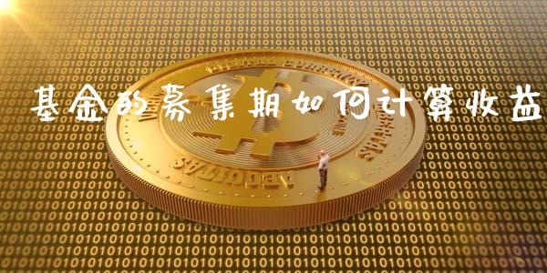 基金的募集期如何计算收益_https://wap.hpmsj.cn_期货交易_第1张