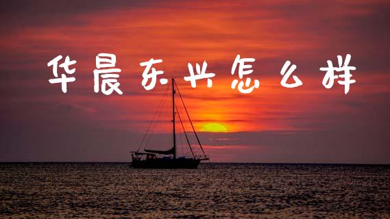 华晨东兴怎么样_https://wap.hpmsj.cn_基金分析_第1张