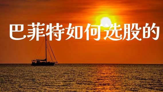巴菲特如何选股的_https://wap.hpmsj.cn_期货交易_第1张