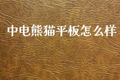 中电熊猫平板怎么样_https://wap.hpmsj.cn_基金分析_第1张